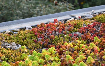 the cost of Kingston Stert green roof installation