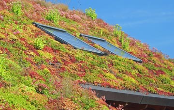 Kingston Stert living roof systems